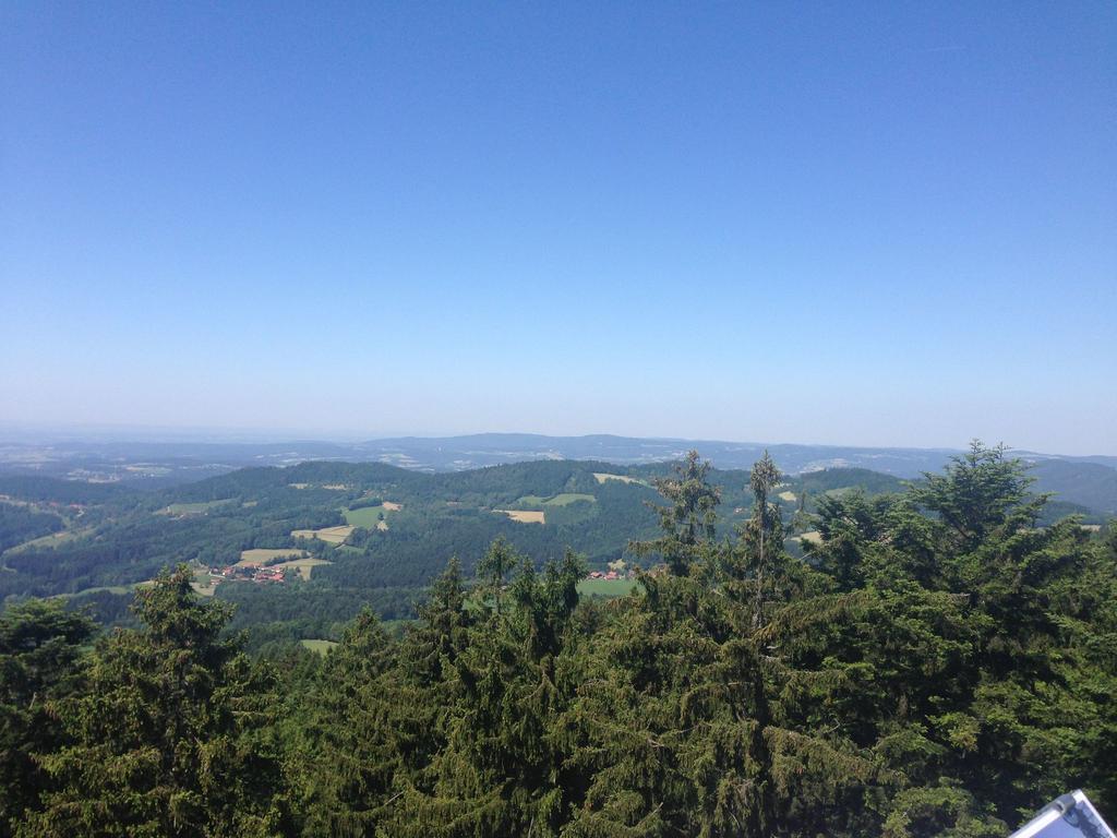 Holiday Flat With Swimming Pool In Prackenbach Viechtach Buitenkant foto